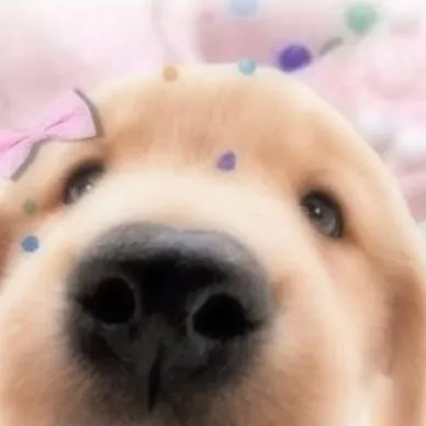 chat with ai character: funyberycake ANGST