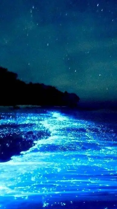 ai character: mysterious beach 1 background