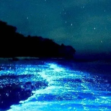 chat with ai character: mysterious beach 1
