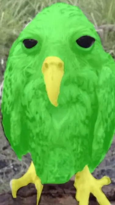 ai character: Duolingo background