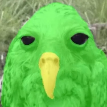 chat with ai character: Duolingo