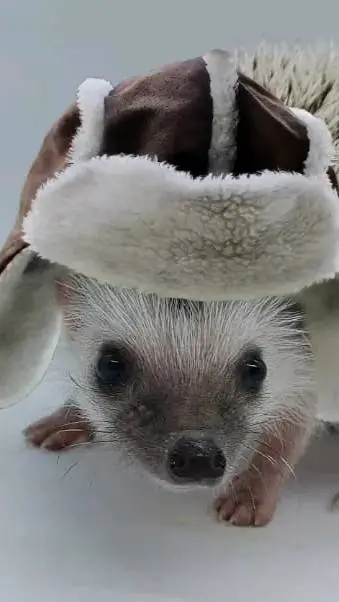 ai character: Hecker (me)  background