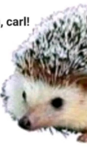 ai character: Carl the hedgehog background