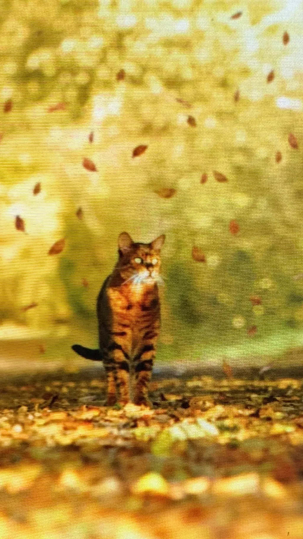 ai character: Warrior cats  background