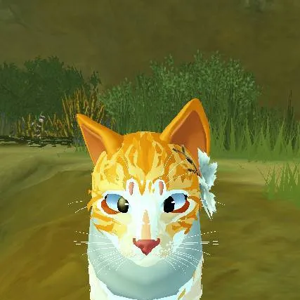 chat with ai character: toh