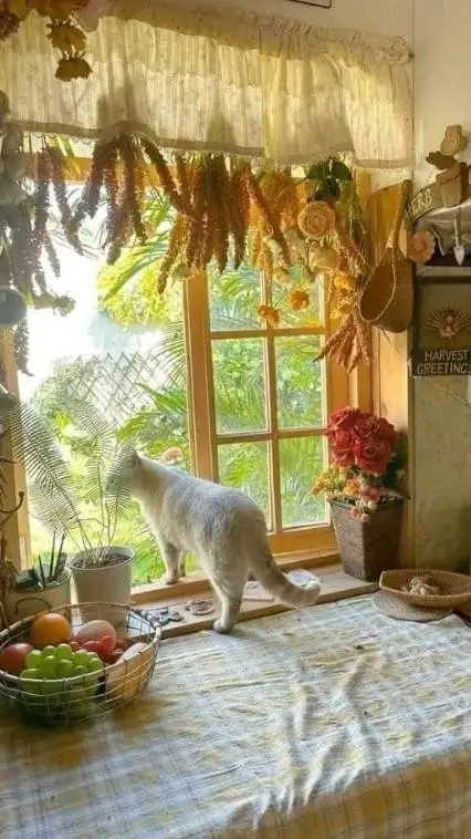 ai character: christmas w/ sbg!! background