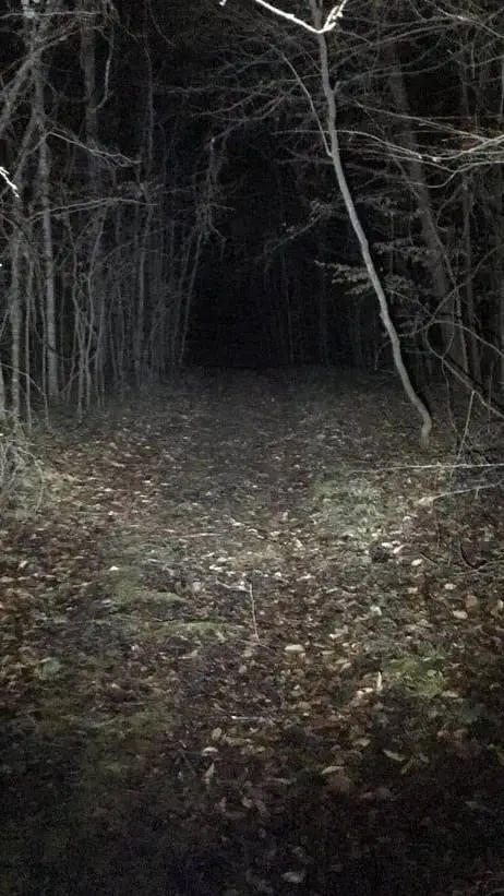 ai character: Ghost hunting(pt2) background