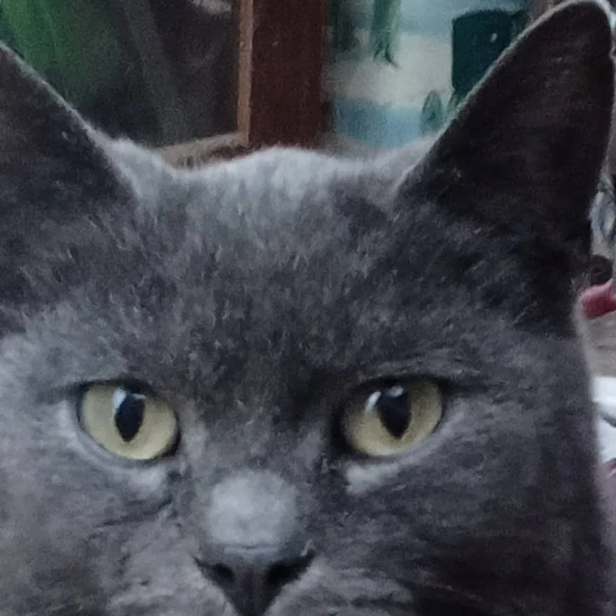 chat with ai character: smoky 