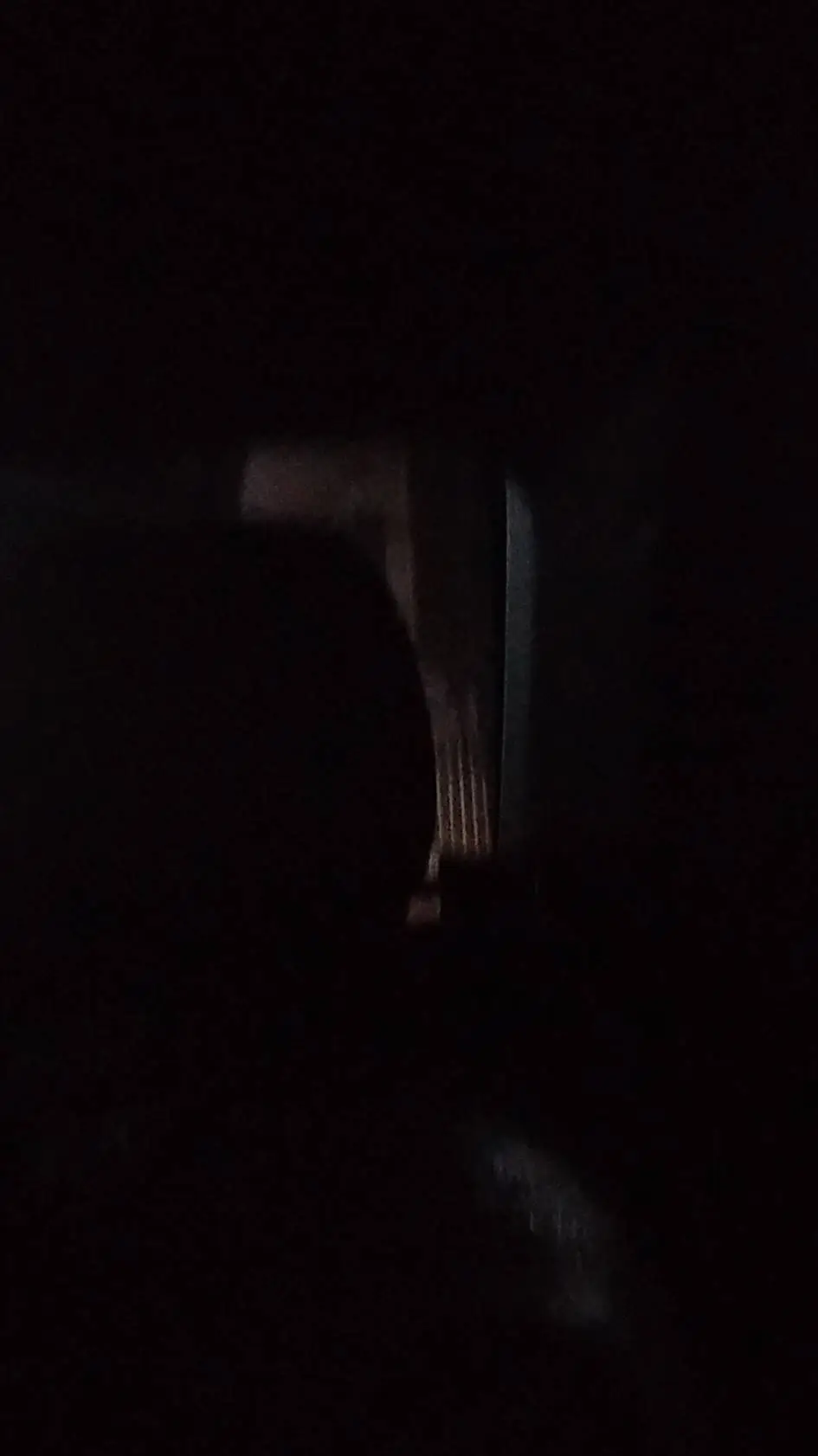 ai character: scp 1099 background