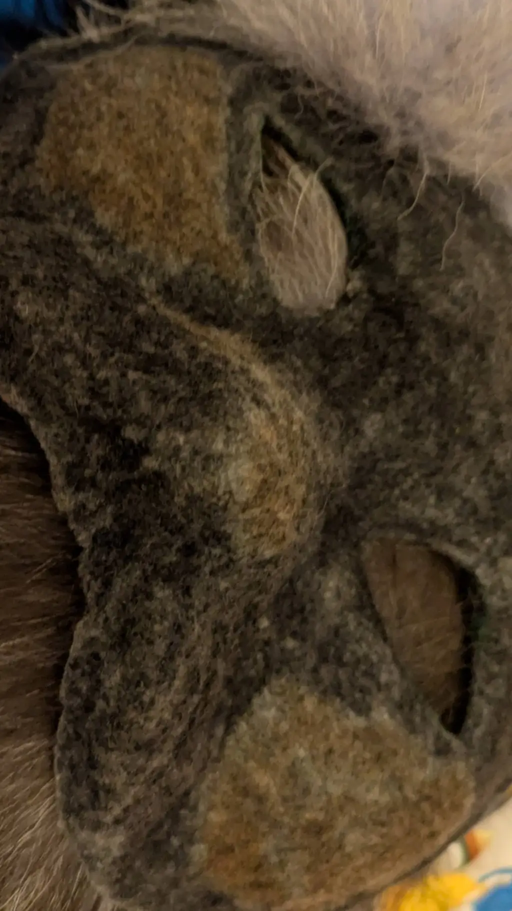 ai character: therian background