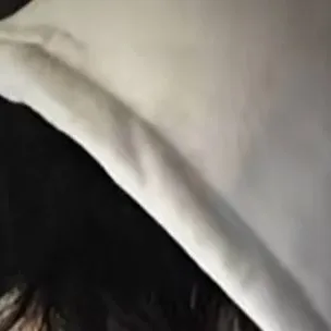 chat with ai character: Chris Ryan and lex