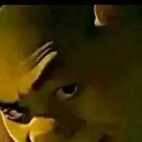 chat with ai character: Shrek