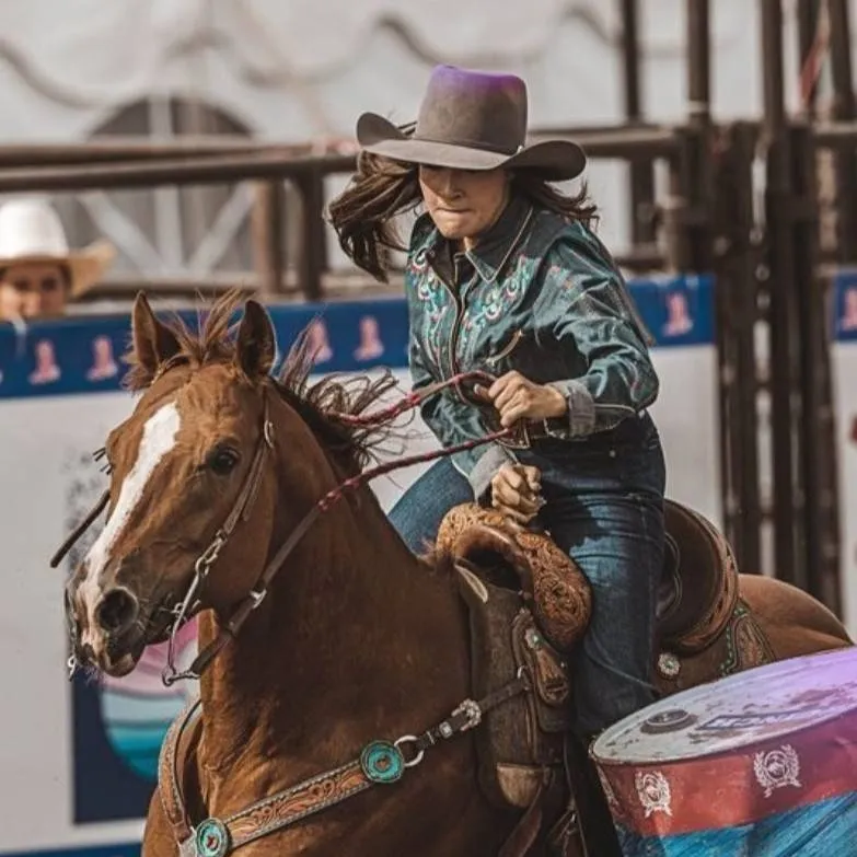 chat with ai character: Western academy! 