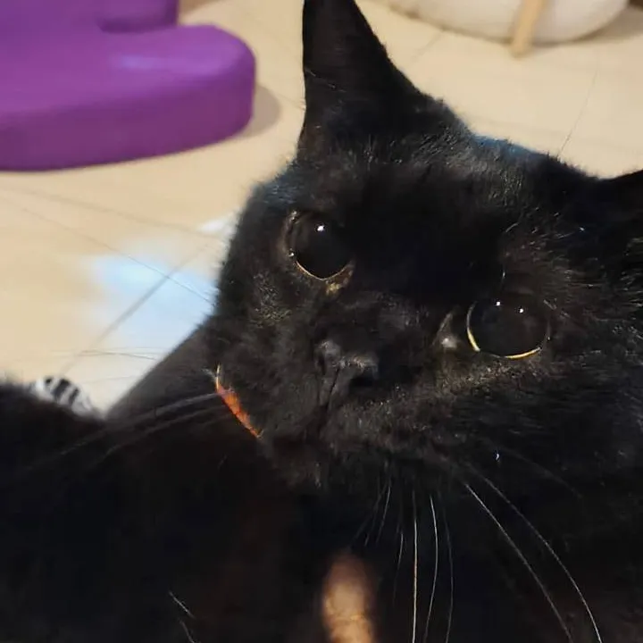 chat with ai character: CH 128 😭