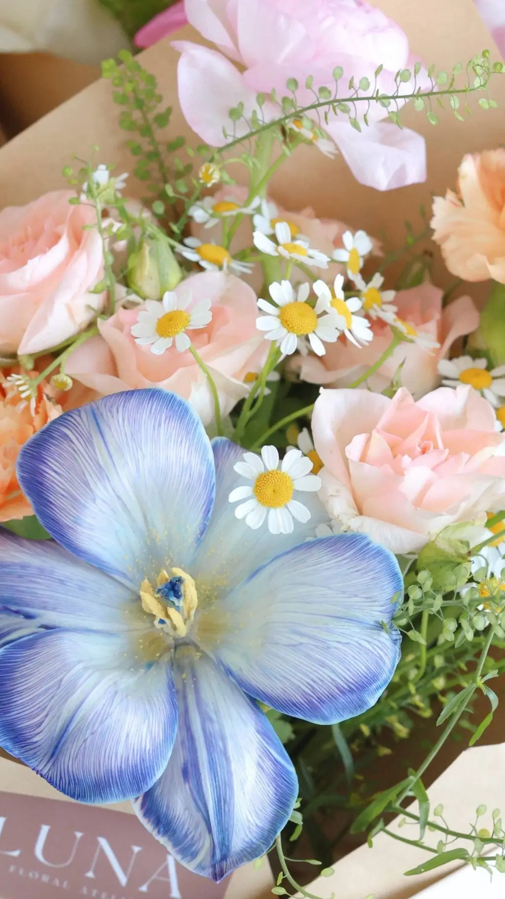 Talkie AI - Chat with CH CAMPING