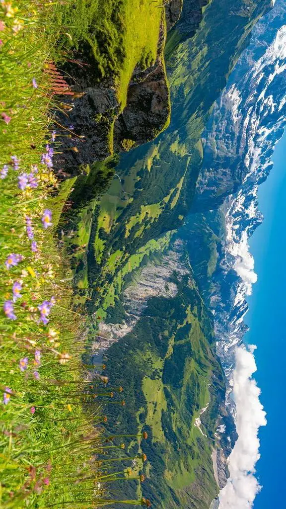 Talkie AI - Chat with CH HIKING 