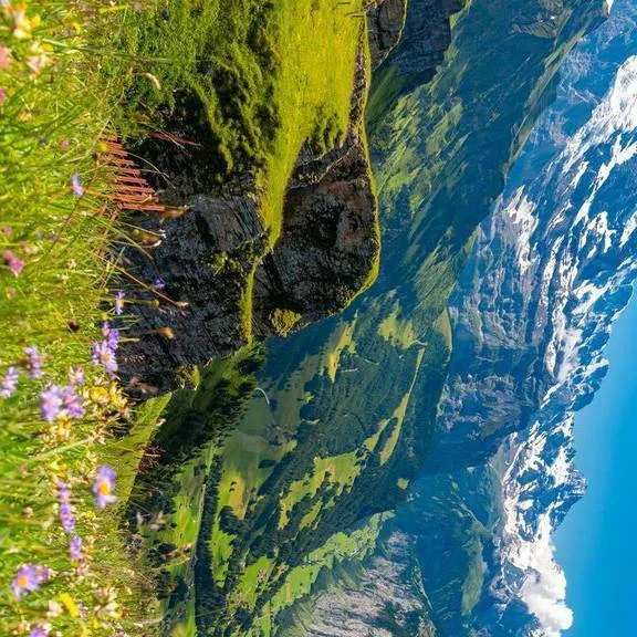 chat with ai character: CH HIKING 