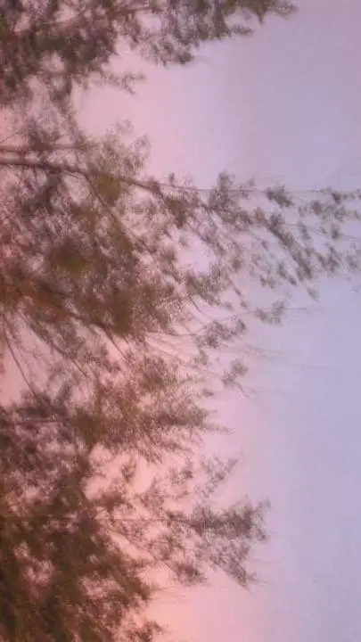 Talkie AI - Chat with CH 137 ✪