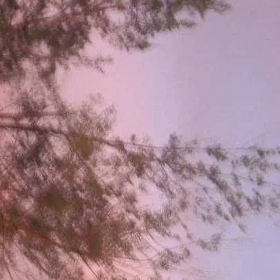 chat with ai character: CH 137 ✪