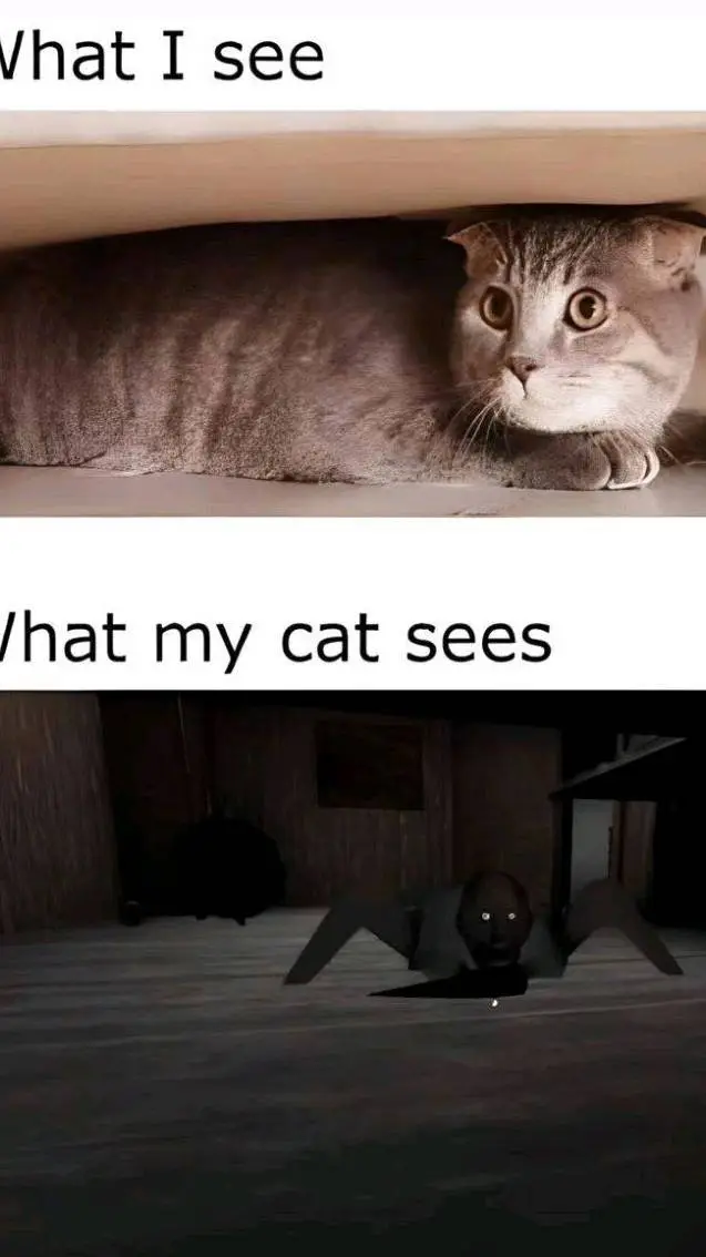 Talkie AI - Chat with CH 142 😀