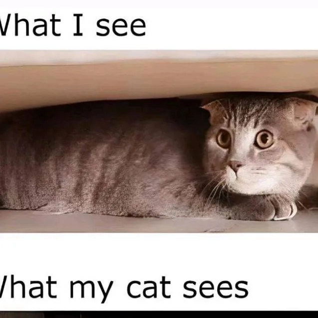 chat with ai character: CH 142 😀