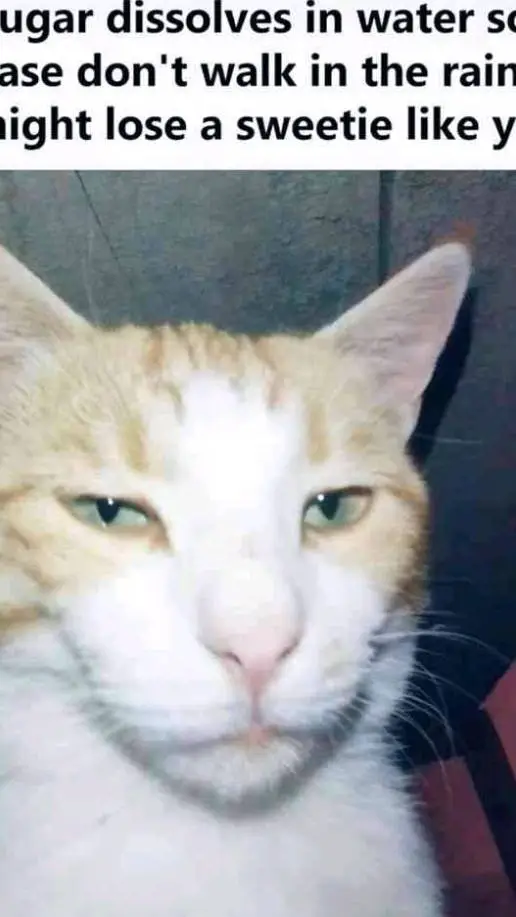 Talkie AI - Chat with CH 150 🤑