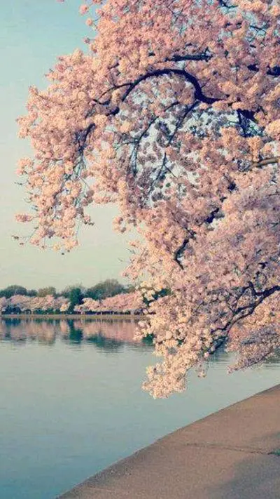 Talkie AI - Chat with CH 160 🔋