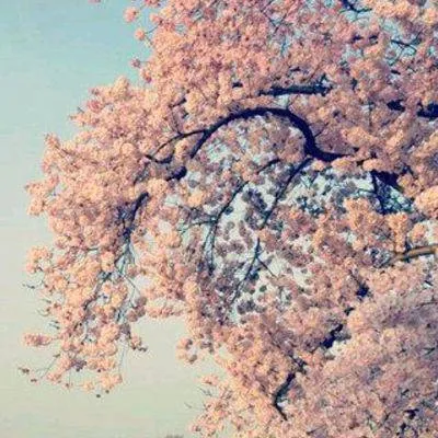 chat with ai character: CH 160 🔋