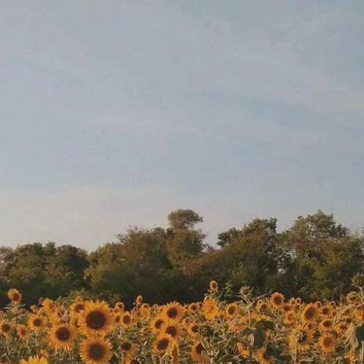 chat with ai character: CH 161 🙂