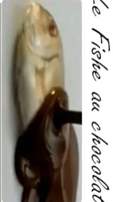 Talkie AI - Chat with CH 163 ☢️