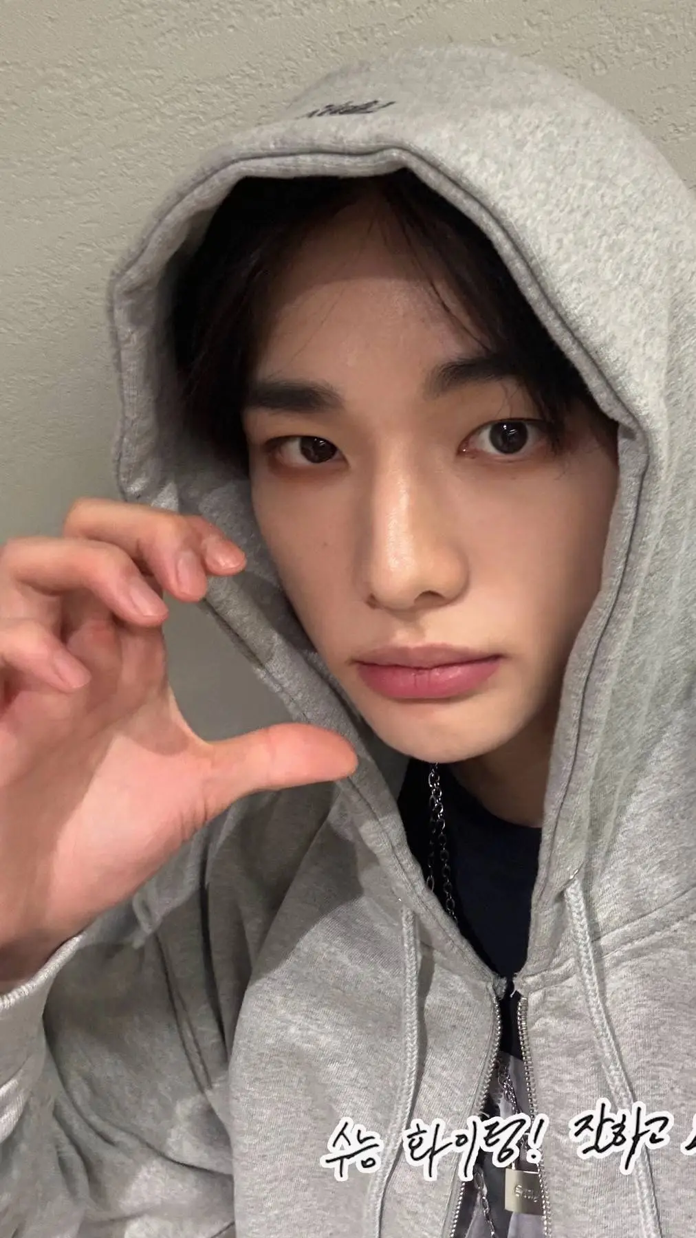 ai character: Hwang Hyunjin background