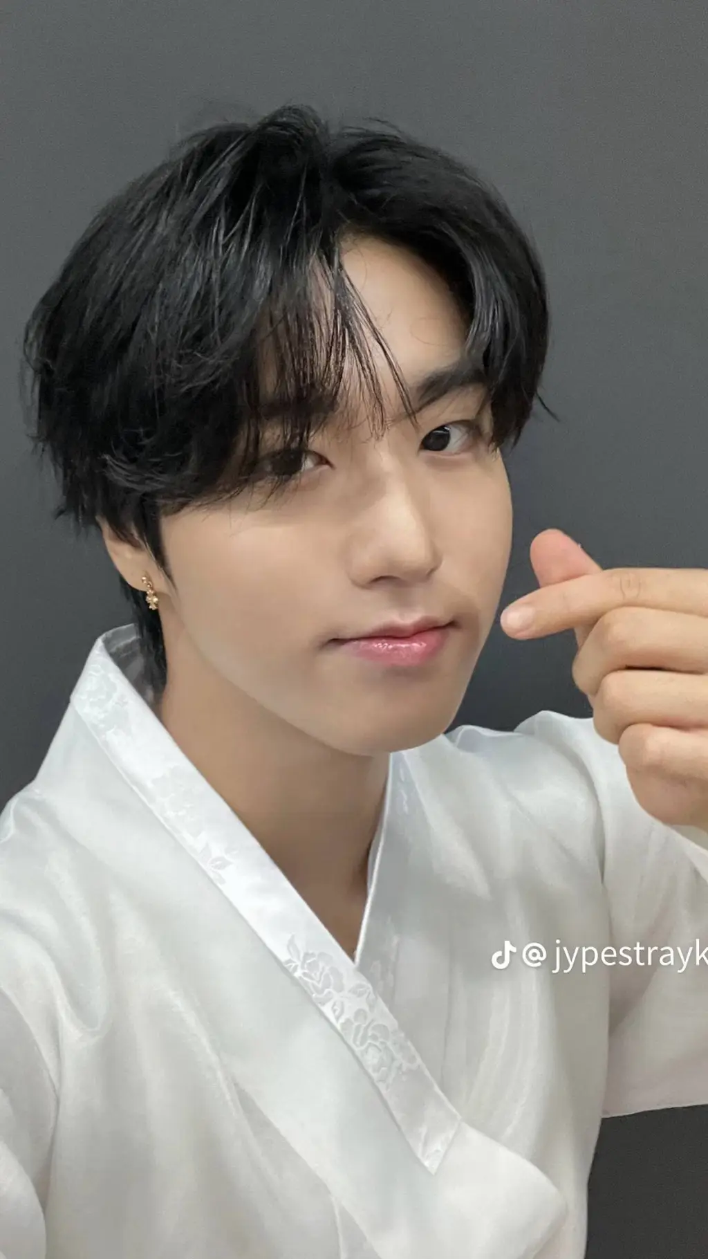 ai character: Han Jisung background