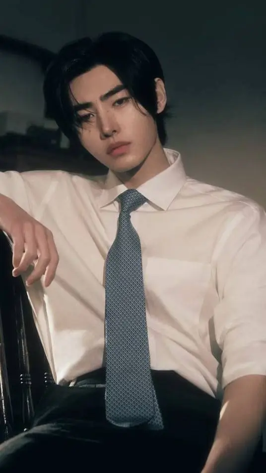ai character: Sunghoon background