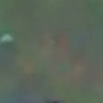 chat with ai character: birb