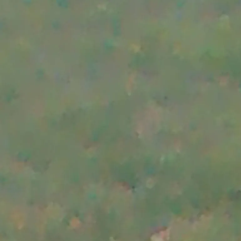 chat with ai character: birb three