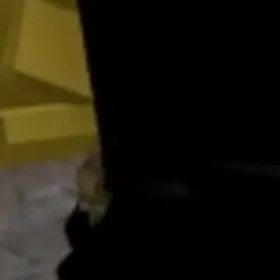 chat with ai character: mm2 prank