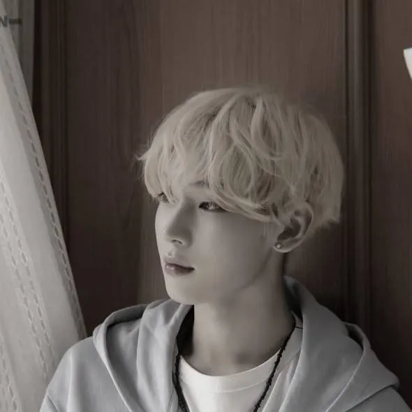 chat with ai character: KIM SUNNO