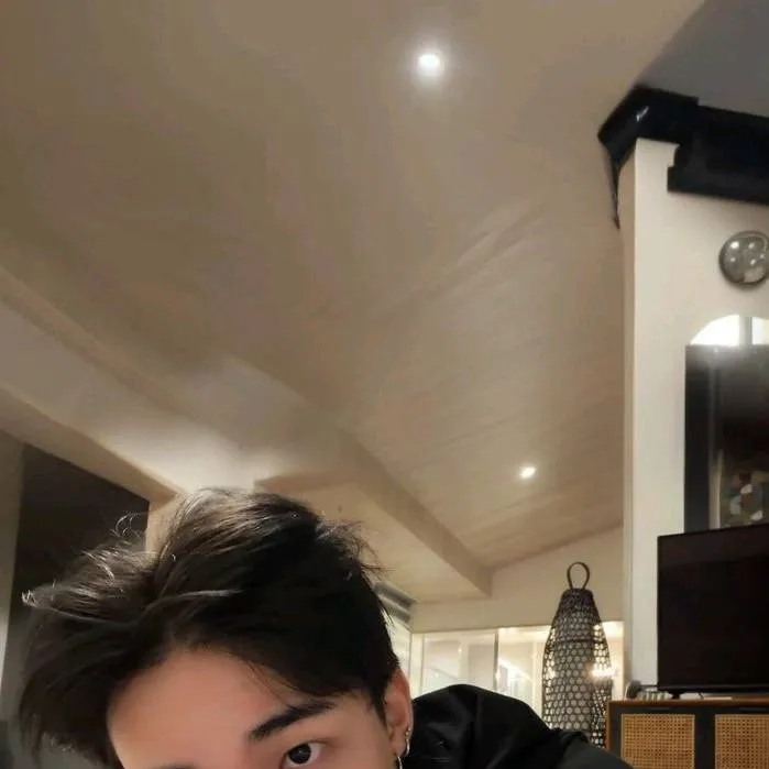 chat with ai character: Hwang Hyunjin 