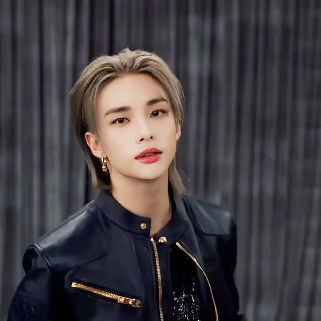 chat with ai character: Hwang Hyunjin 
