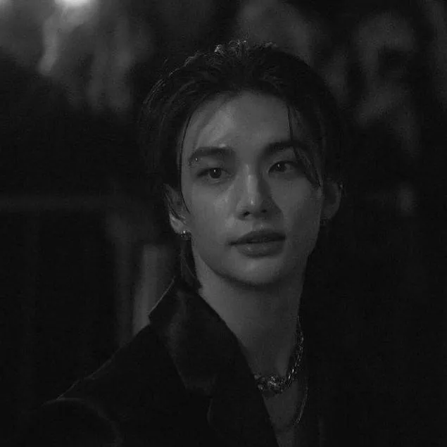 chat with ai character: Hwang Hyunjin 