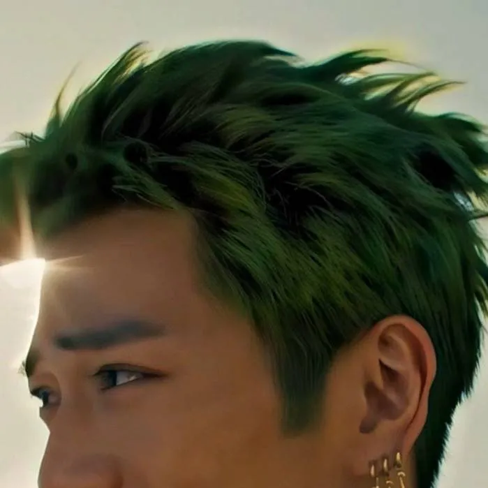 chat with ai character: Roronoa Zoro 