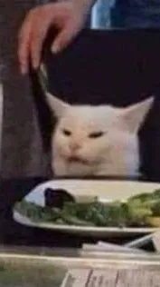 ai character: Cat at home  background