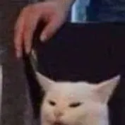 chat with ai character: Cat at home 