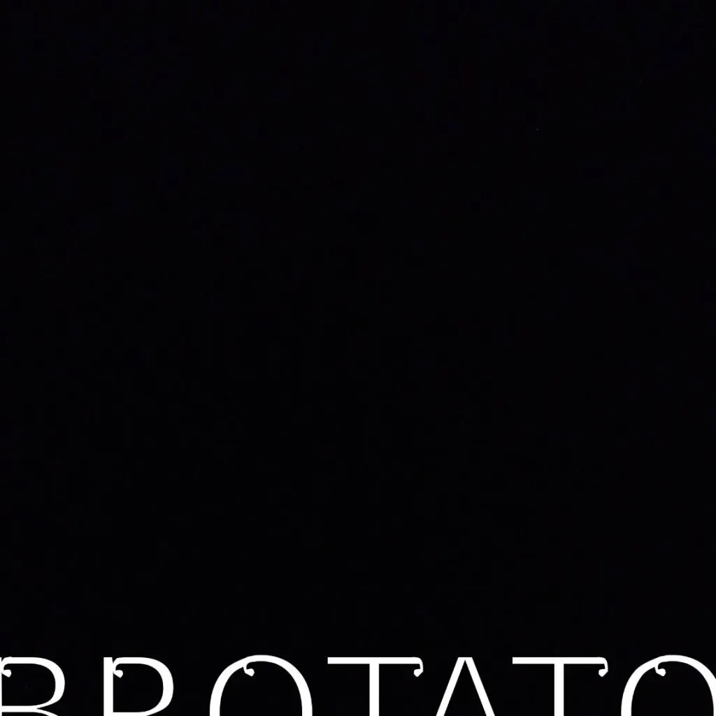 chat with ai character: BROTATO