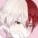 chat with ai character: Shoto todoroki
