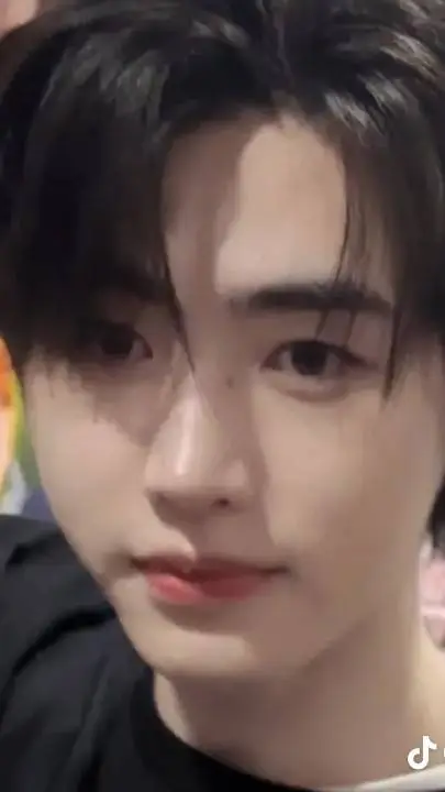 ai character: Sunghoon background