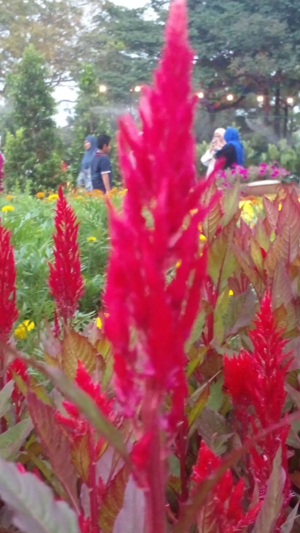 ai character: emly background