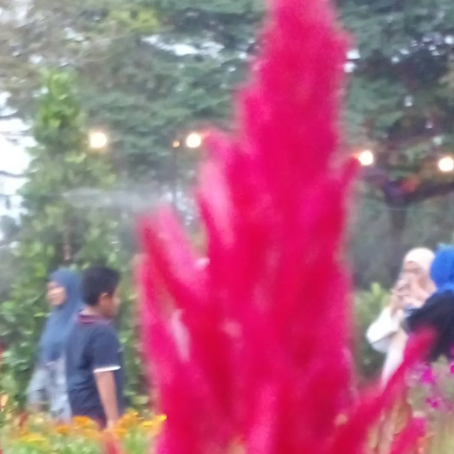 chat with ai character: emly