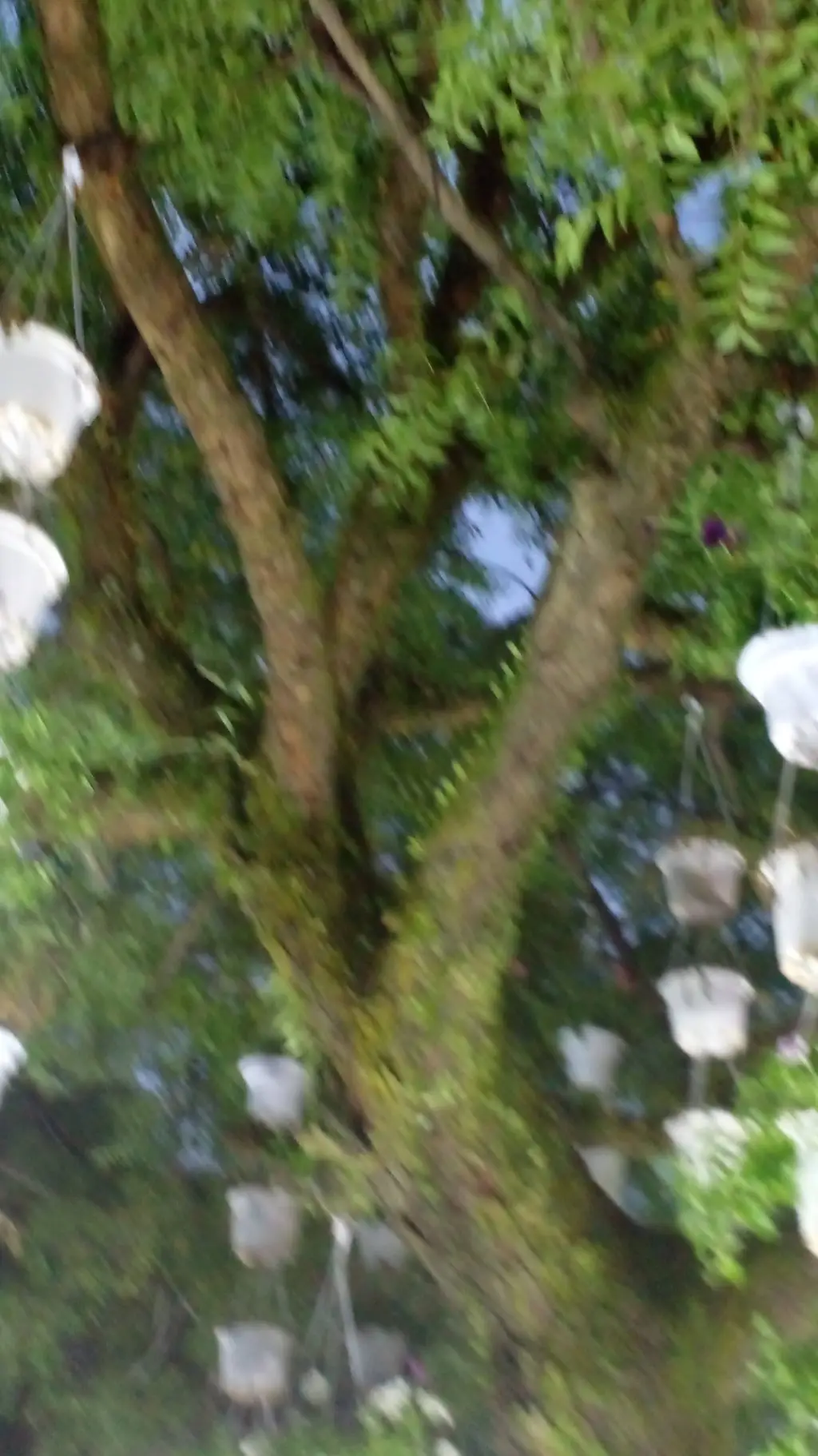 ai character: caine  background