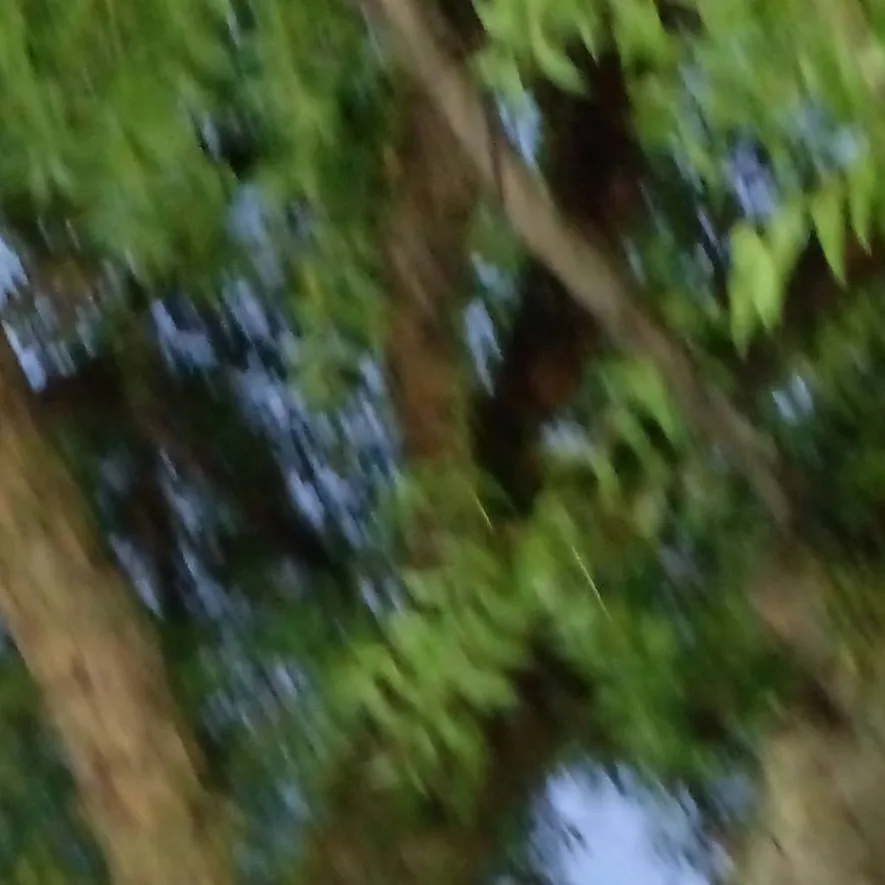 chat with ai character: caine 